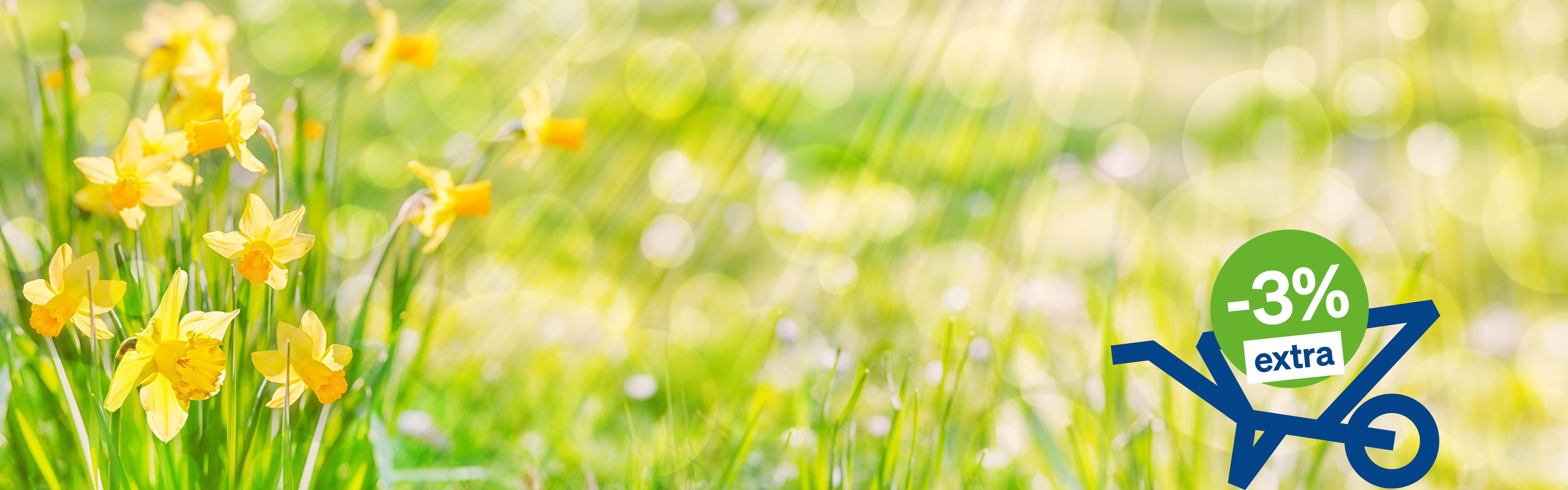 Website_Aktion_Frühlingserwachen